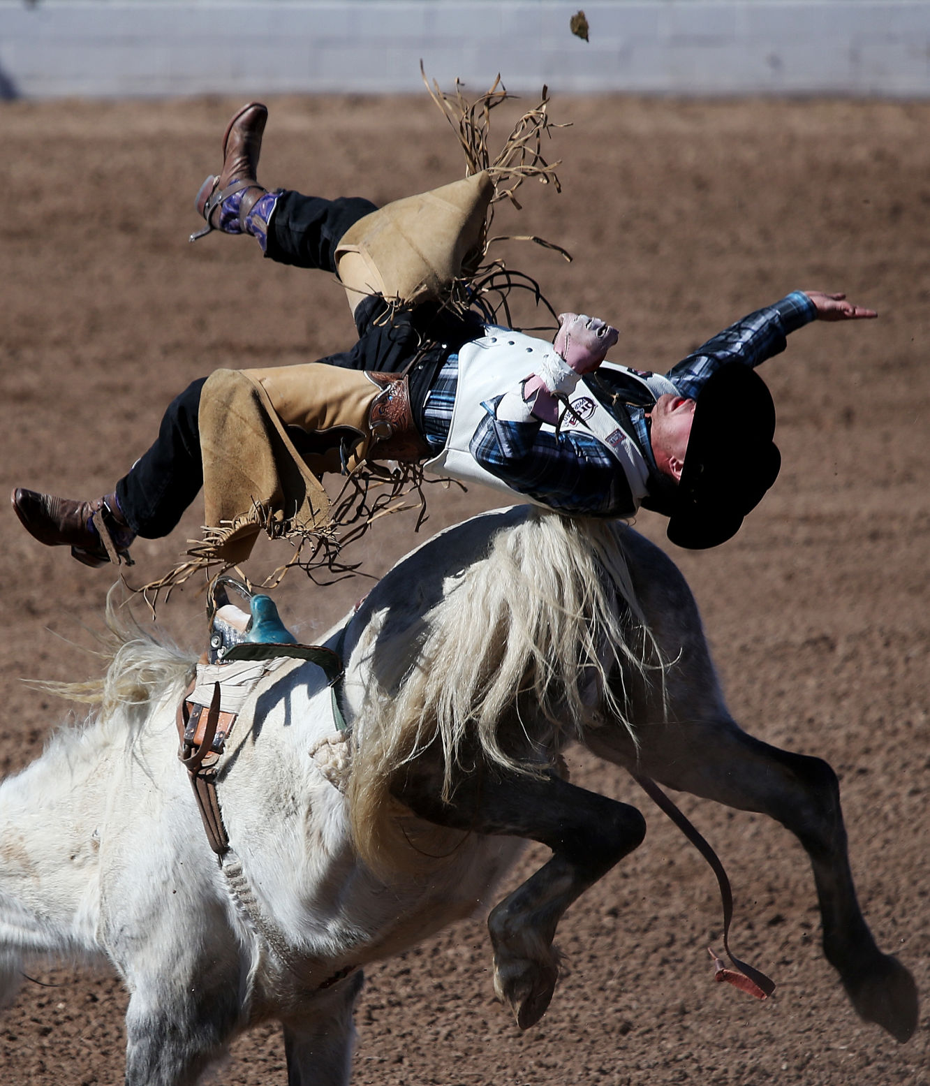 2018 La Fiesta de los Vaqueros Tucson Rodeo